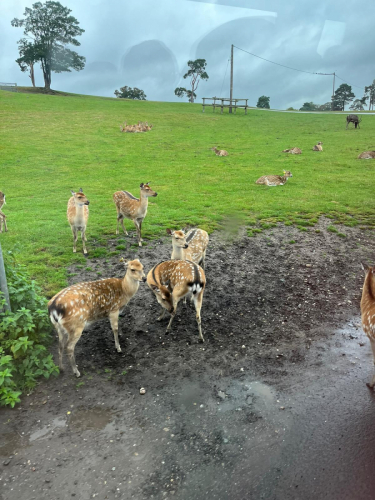 IMG-20230915-WA0004